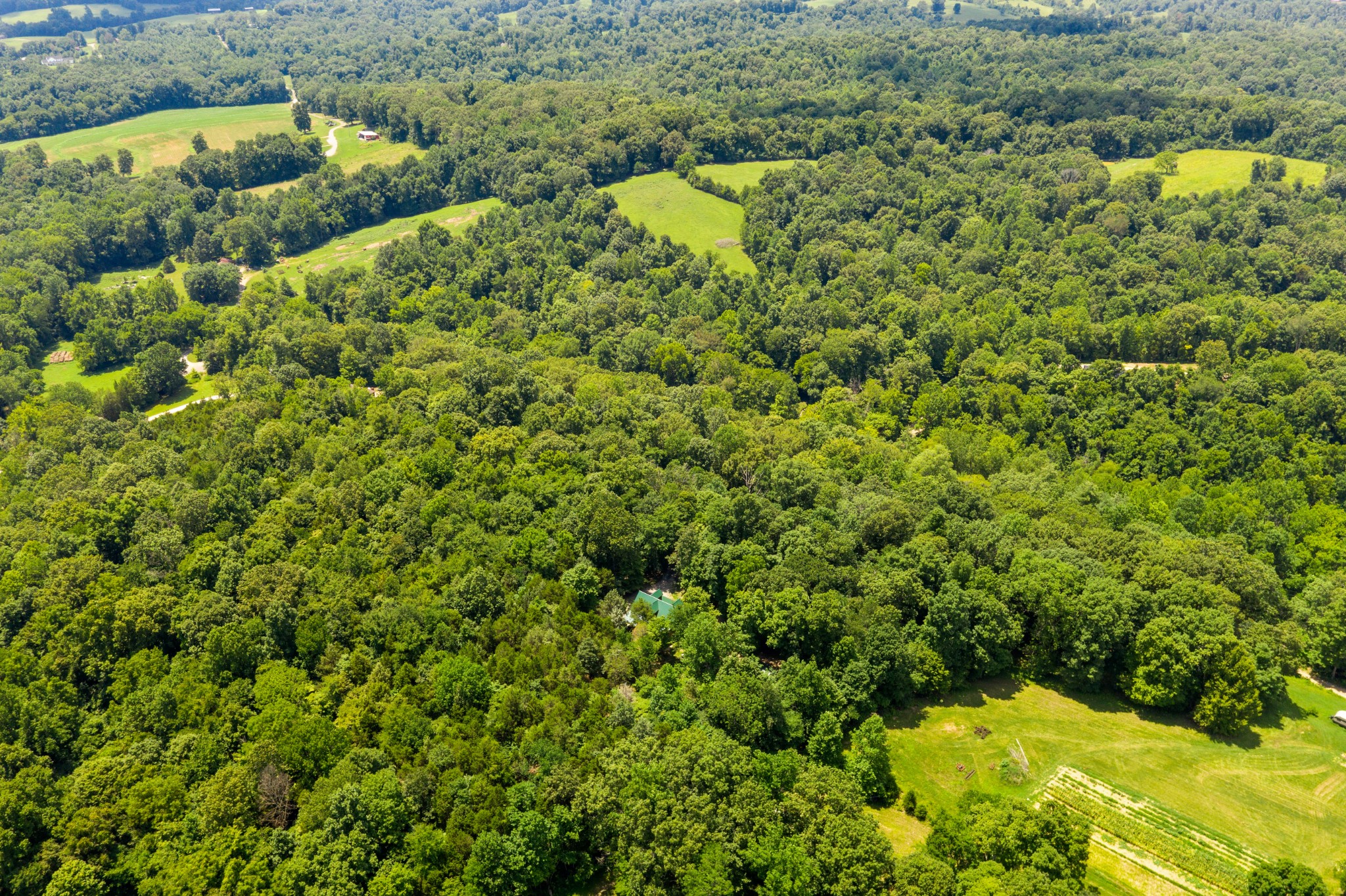 3867 Dailey Road Clarksville, TN 37042 - Photo 36 of 41 Gallery Image 36