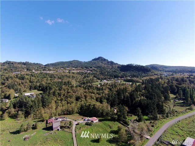 20274 East Stackpole Road Mount Vernon, WA 98274 - Photo 4 of 11