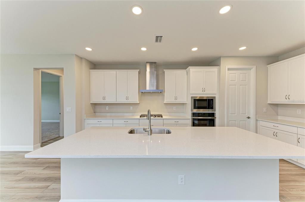 17915 Cropside Trail Lakewood Ranch, FL 34211 - Photo 15 of 33 a kitchen with kitchen island a sink stainless steel appliances and cabinets