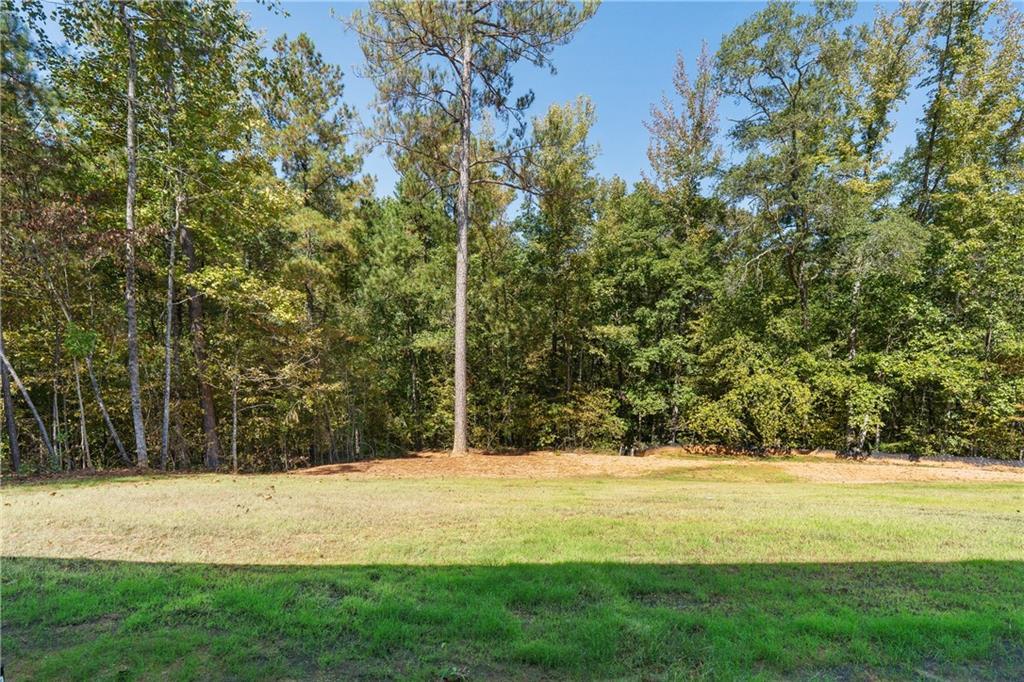 4477 Rivercliff Way Gray, GA 31032 - Photo 56 of 62 a view of outdoor space and yard