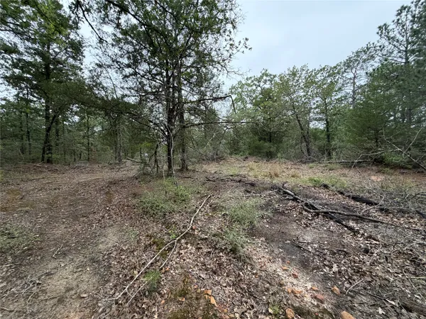 $145,000 | Lot 17 Old Antioch Road, Smithville, TX 78957