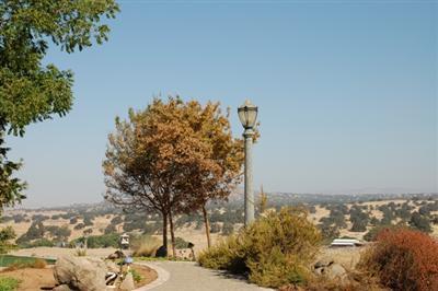 18867 Watts Valley Road Sanger, CA 93657 - Photo 25 of 37 Gallery Image 25