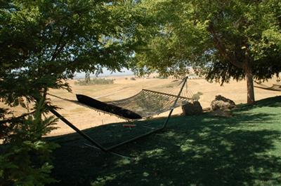 18867 Watts Valley Road Sanger, CA 93657 - Photo 29 of 37 Gallery Image 29