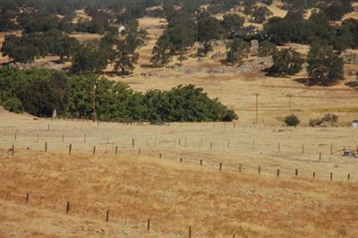18867 Watts Valley Road Sanger, CA 93657 - Photo 30 of 37 Gallery Image 30