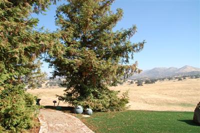 18867 Watts Valley Road Sanger, CA 93657 - Photo 4 of 37 Gallery Image 4