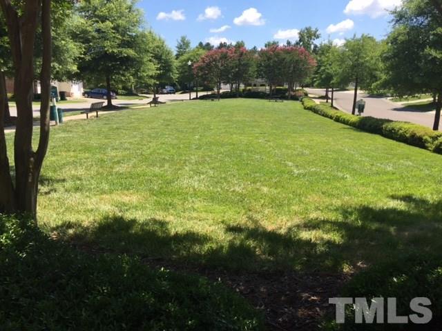 9527 Vira Drive Raleigh, NC 27617 - Photo 9 of 13 Have a catch, play tag, or just enjoy the view,