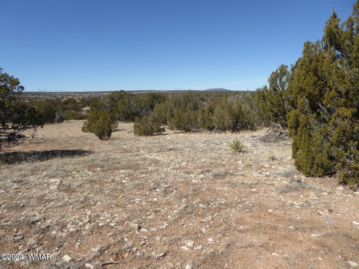 12 T14n R16e: Sw4 Se4 Heber, AZ 85928 - Photo 1 of 2 a view of a dry yard with green space