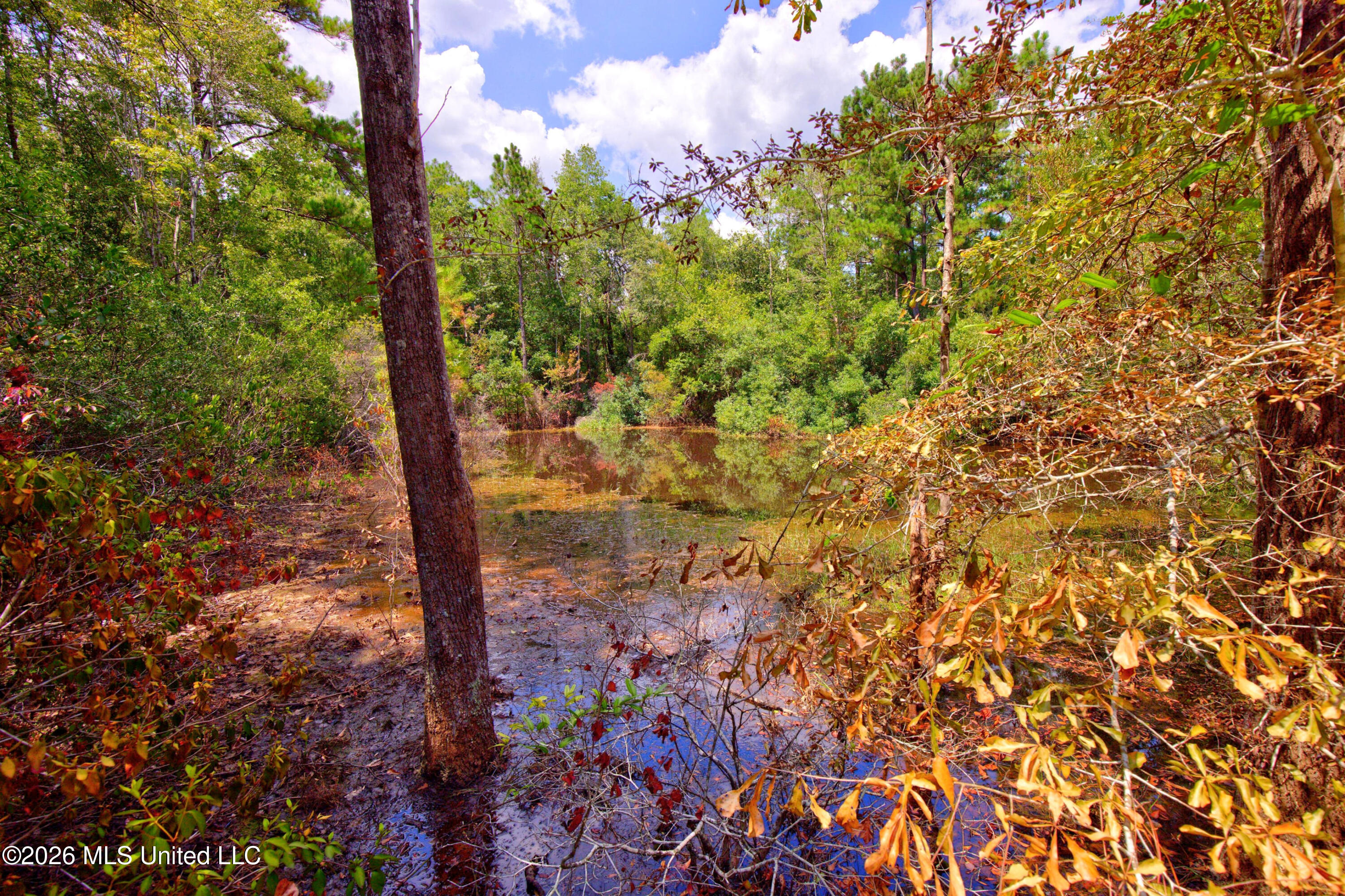 20237 Fox Ridge Drive Saucier, MS 39574 - Photo 26 of 32 20237FoxRidgeDr.-33