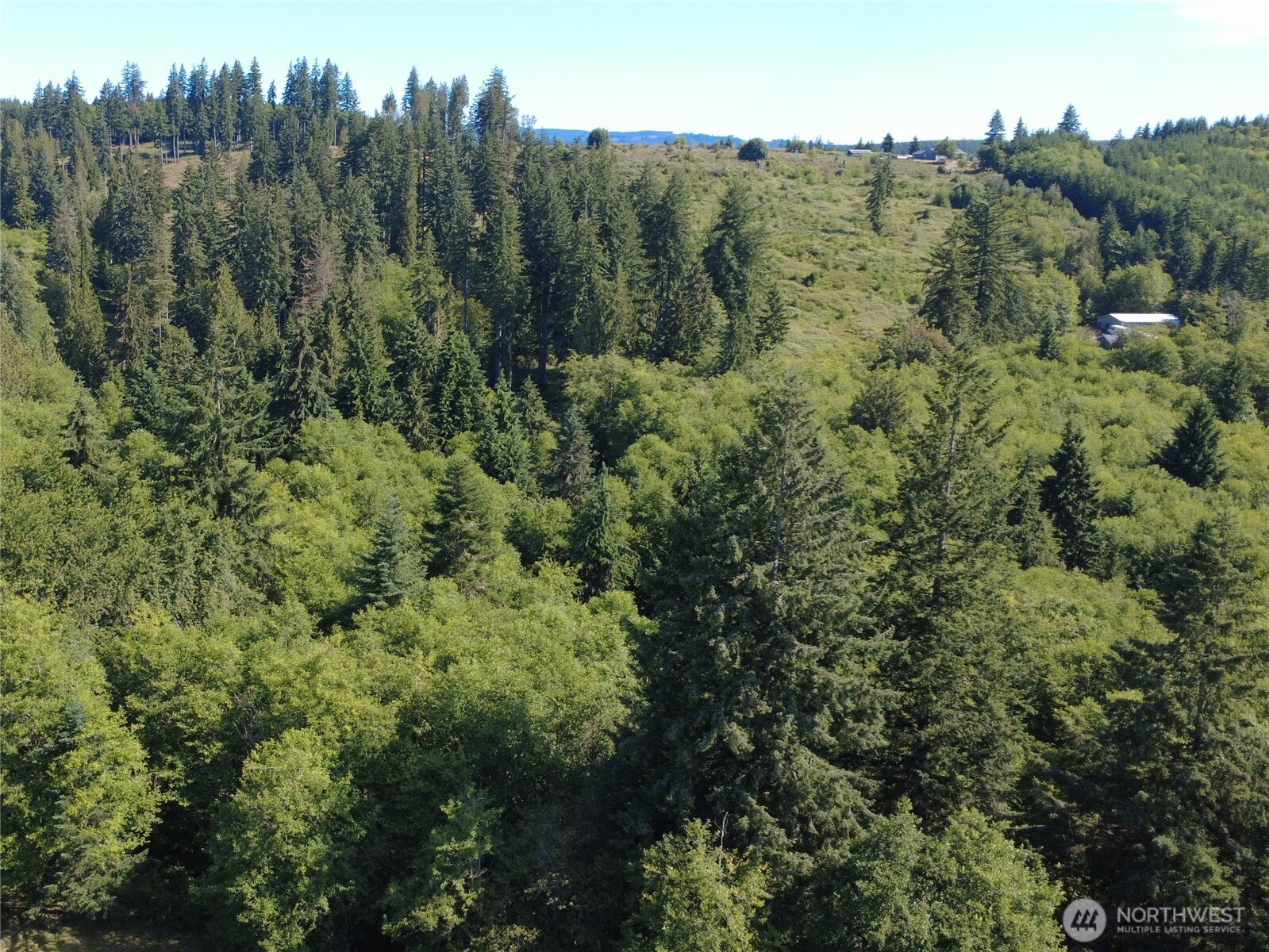 1210 Stella Road Longview, WA 98632 - Photo 24 of 28 a view of a forest with a houses