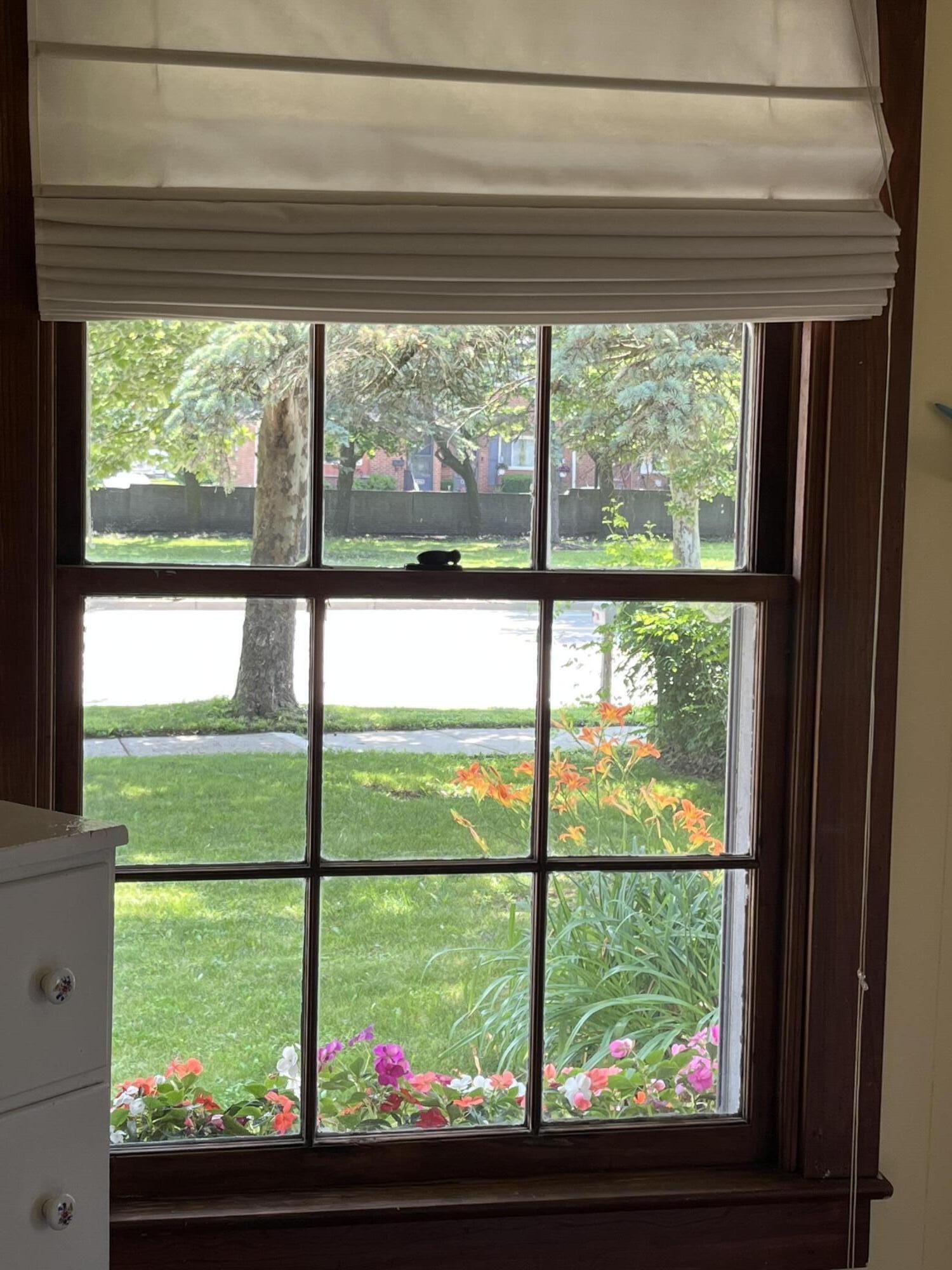 3604 Platt Road Ann Arbor, MI 48108 - Photo 19 of 44 windows