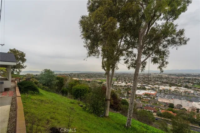 a backyard with potted plants and a large tree