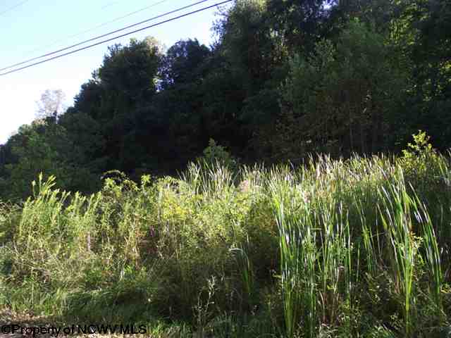 2 Goose Run Road Fairmont, WV 26554 - Photo 2 of 3 Gallery Image 2