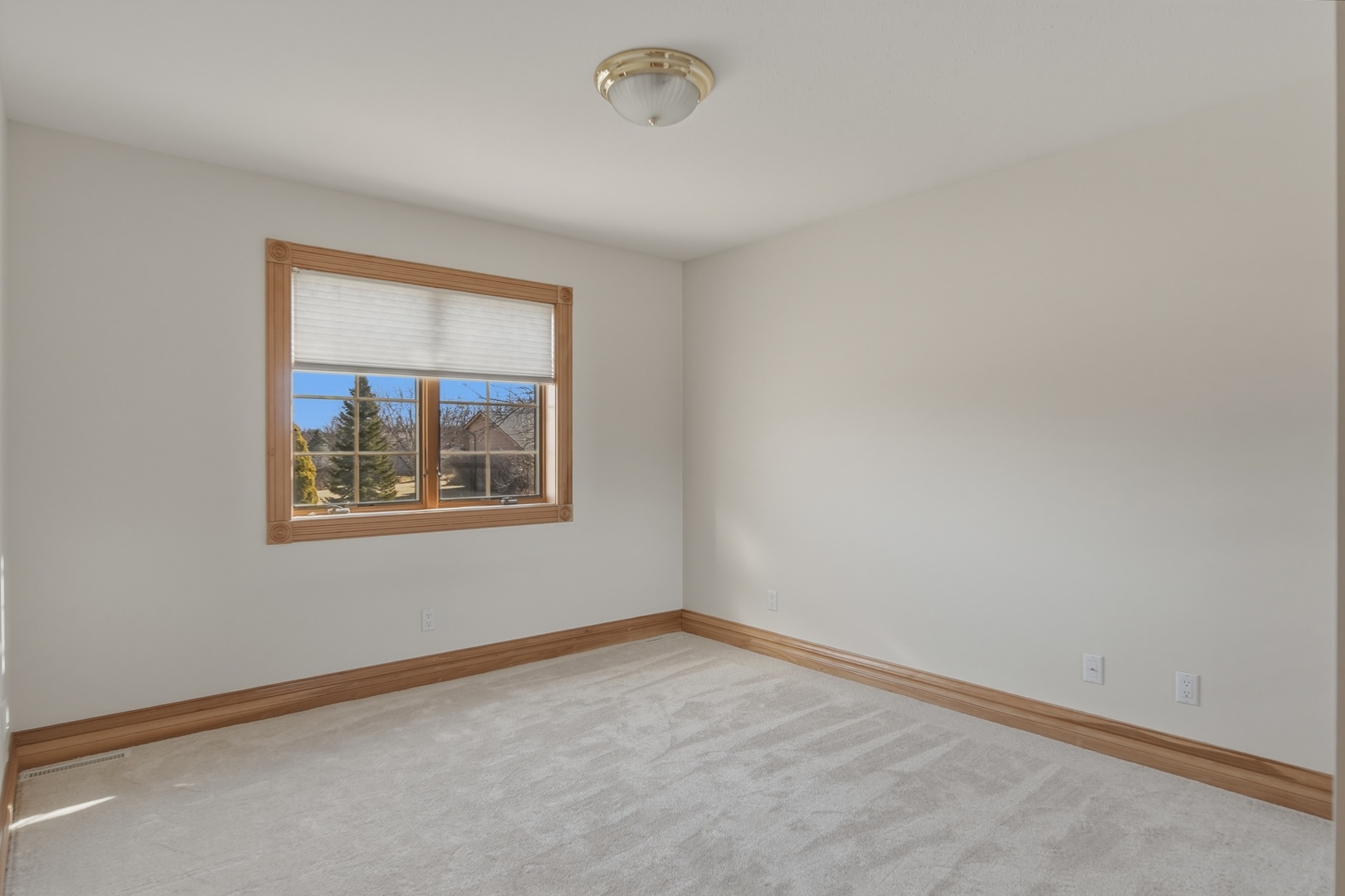 117 Fox Trot Dixon, IL 61021 - Photo 34 of 57