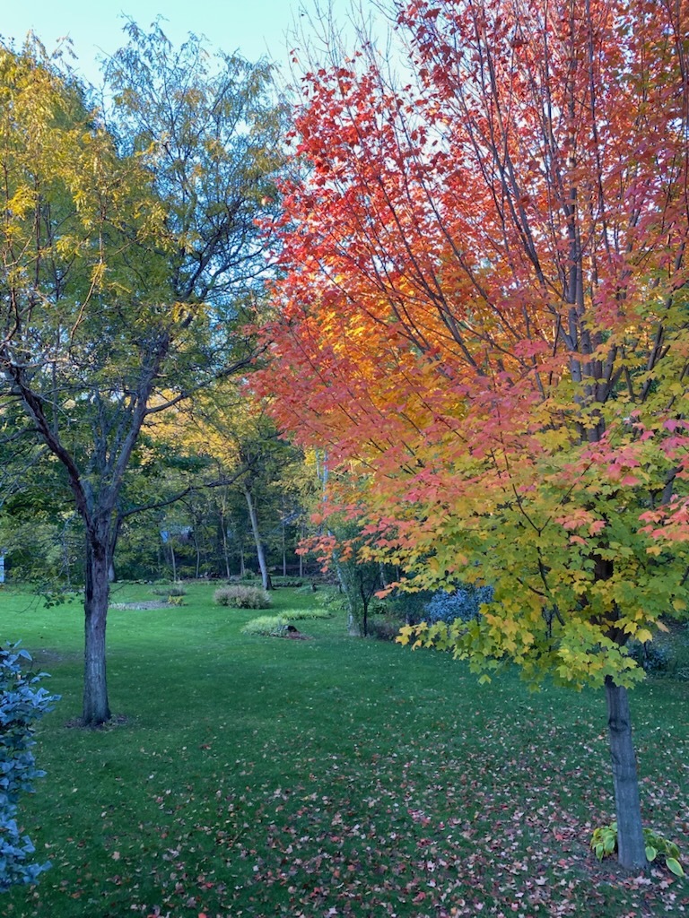 117 Fox Trot Dixon, IL 61021 - Photo 55 of 57