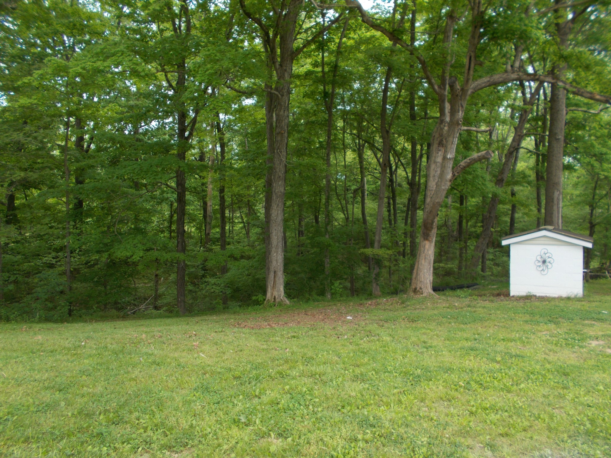1300 Charlie Reed Road Chapmansboro, TN 37035 - Photo 19 of 21 Gallery Image 19