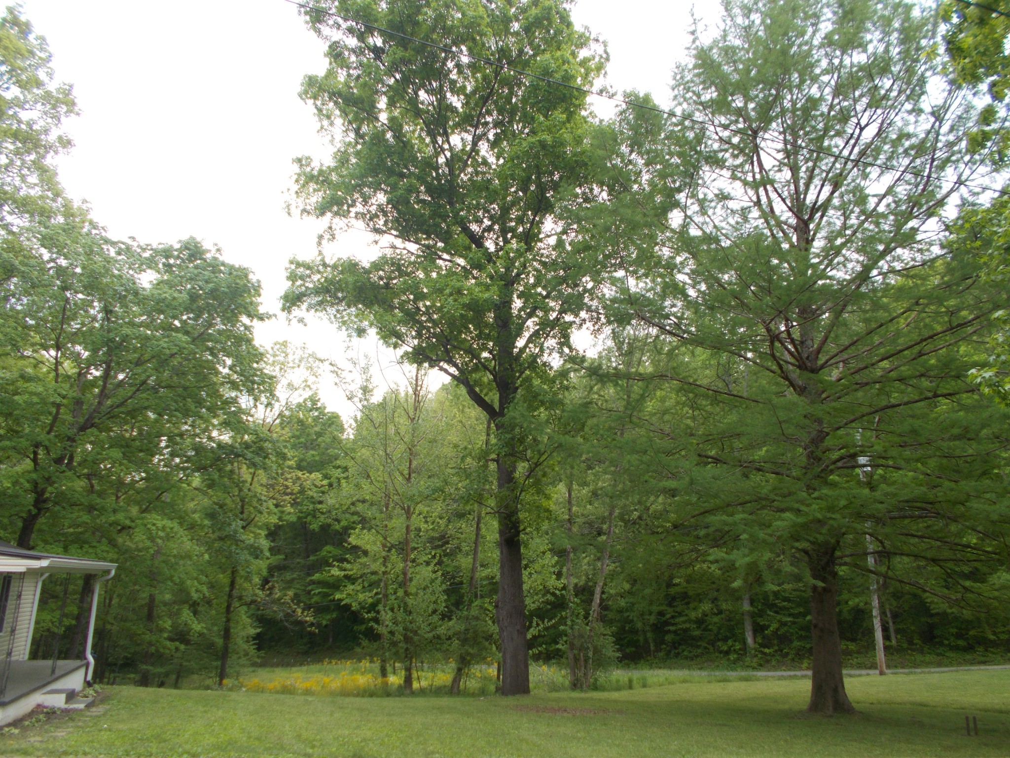 1300 Charlie Reed Road Chapmansboro, TN 37035 - Photo 20 of 21 Gallery Image 20