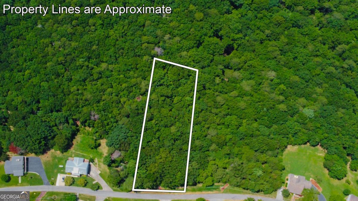 Lot 36 Talona Mountain Road, Unit 34 Ellijay, GA 30536 - Photo 2 of 6