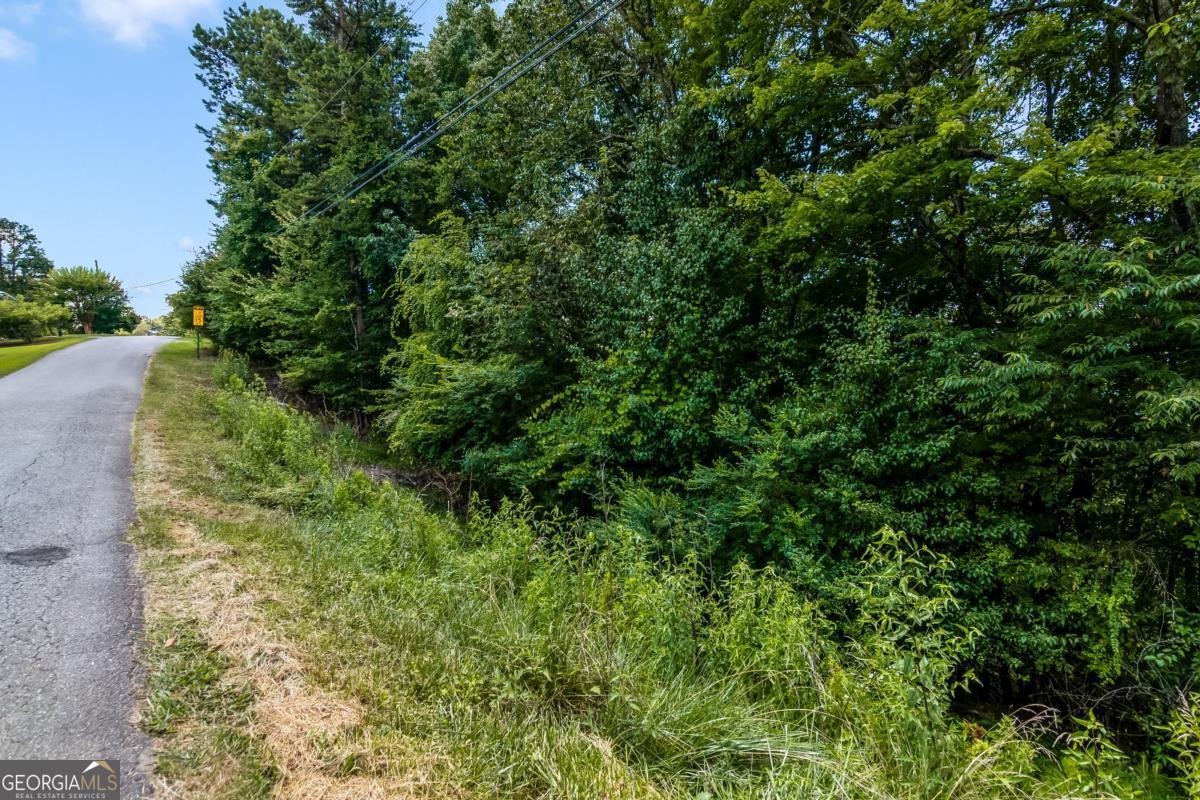 Lot 36 Talona Mountain Road, Unit 34 Ellijay, GA 30536 - Photo 3 of 6