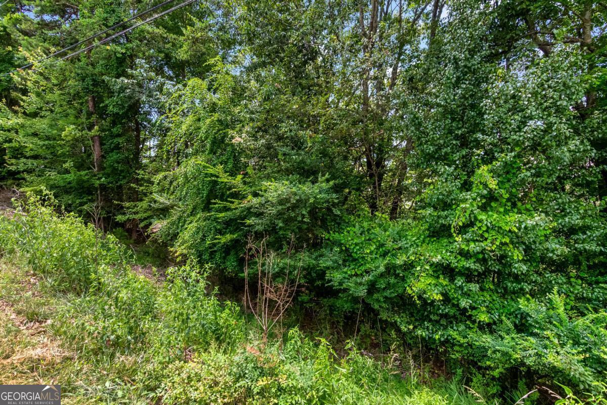 Lot 36 Talona Mountain Road, Unit 34 Ellijay, GA 30536 - Photo 4 of 6