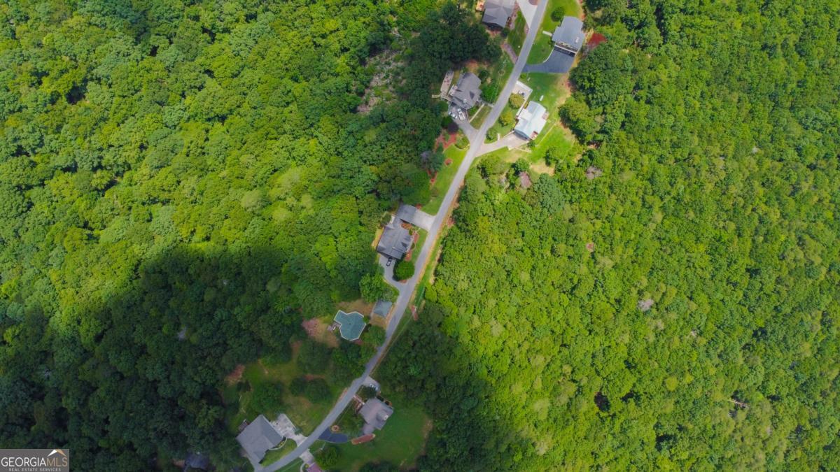 Lot 36 Talona Mountain Road, Unit 34 Ellijay, GA 30536 - Photo 5 of 6