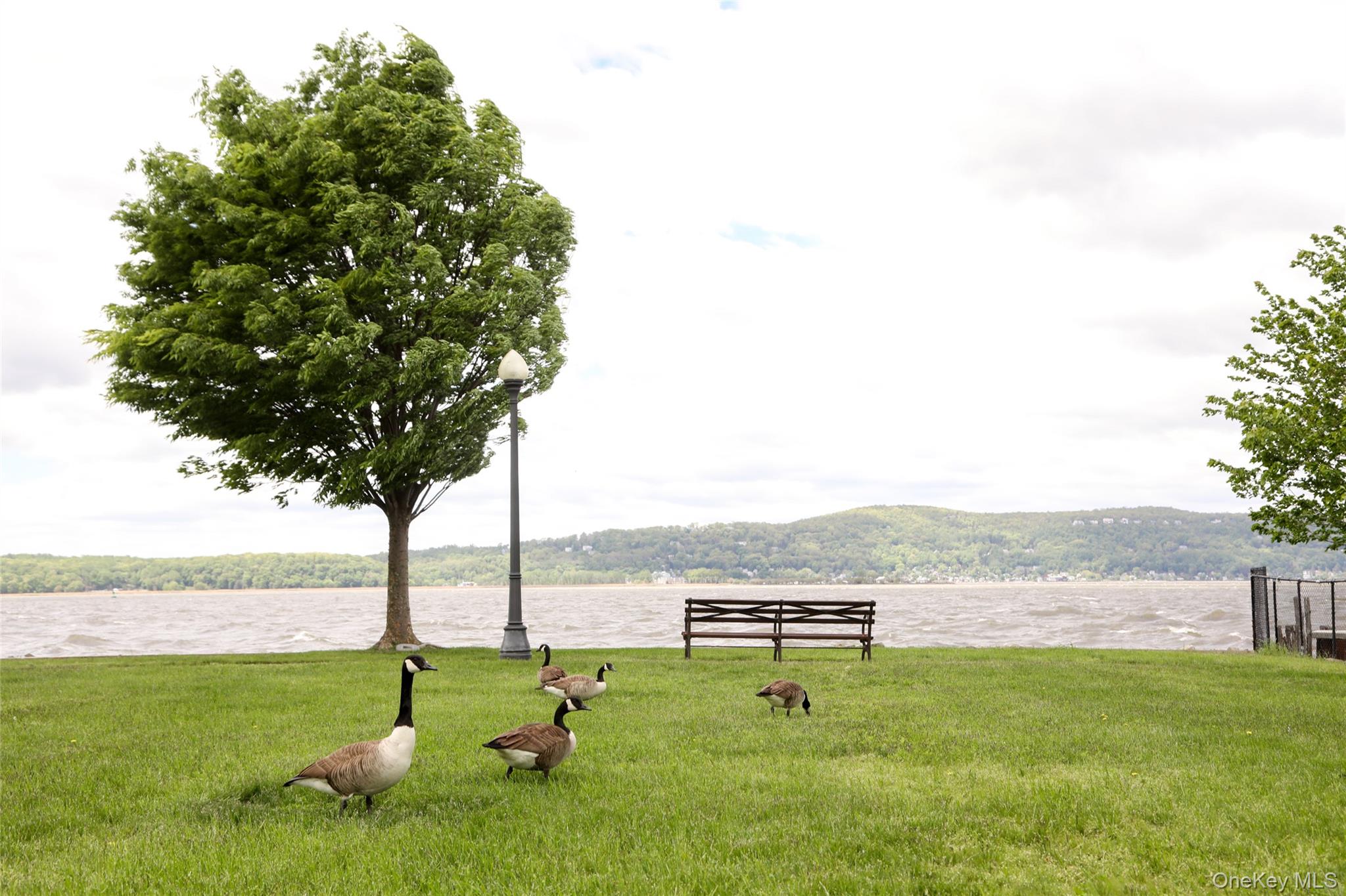 801 Hunters Run Dobbs Ferry, NY 10522 - Photo 29 of 32 a view of a lake with a mountain