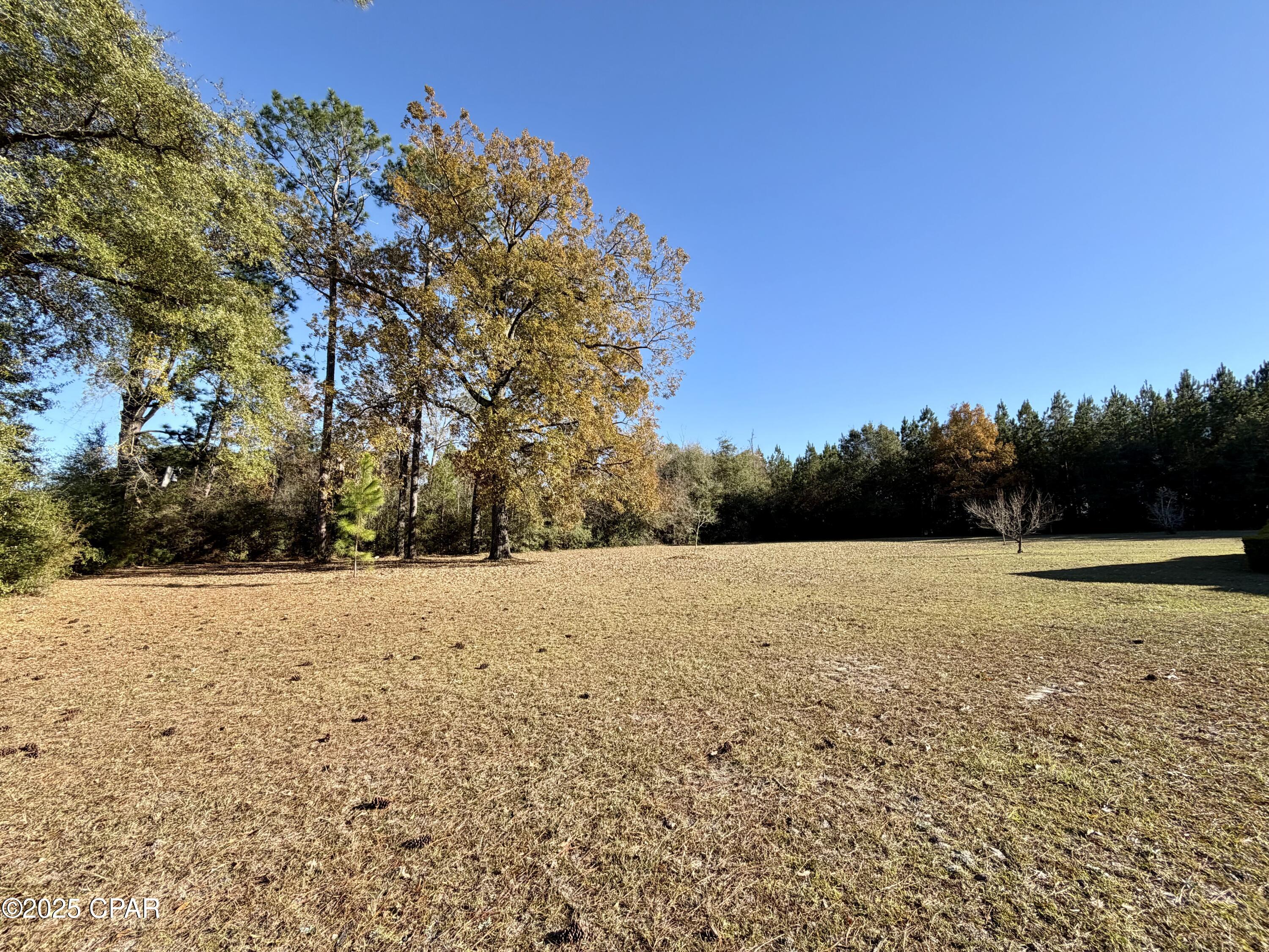 5459 Highway 2 Bascom, FL 32423 - Photo 35 of 47