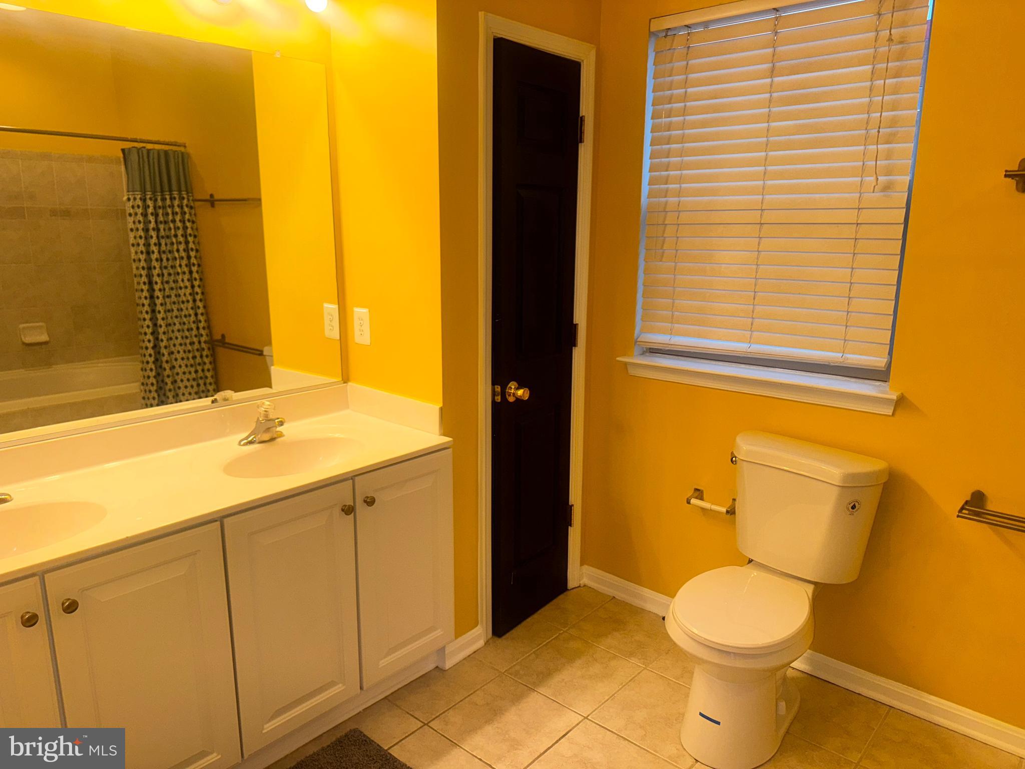 127 Albemarle Street, Unit 36 Baltimore, MD 21202 - Photo 21 of 25 a bathroom with a sink and a toilet