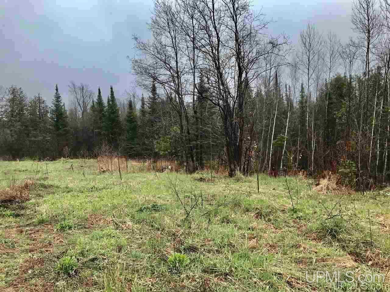Tbd South Co Rd 519 Highway Bessemer, MI 49911 - Photo 5 of 10