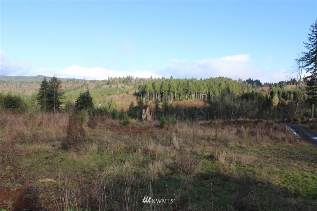 0 Slide Creek Road Longview, WA 98632 - Photo 2 of 3