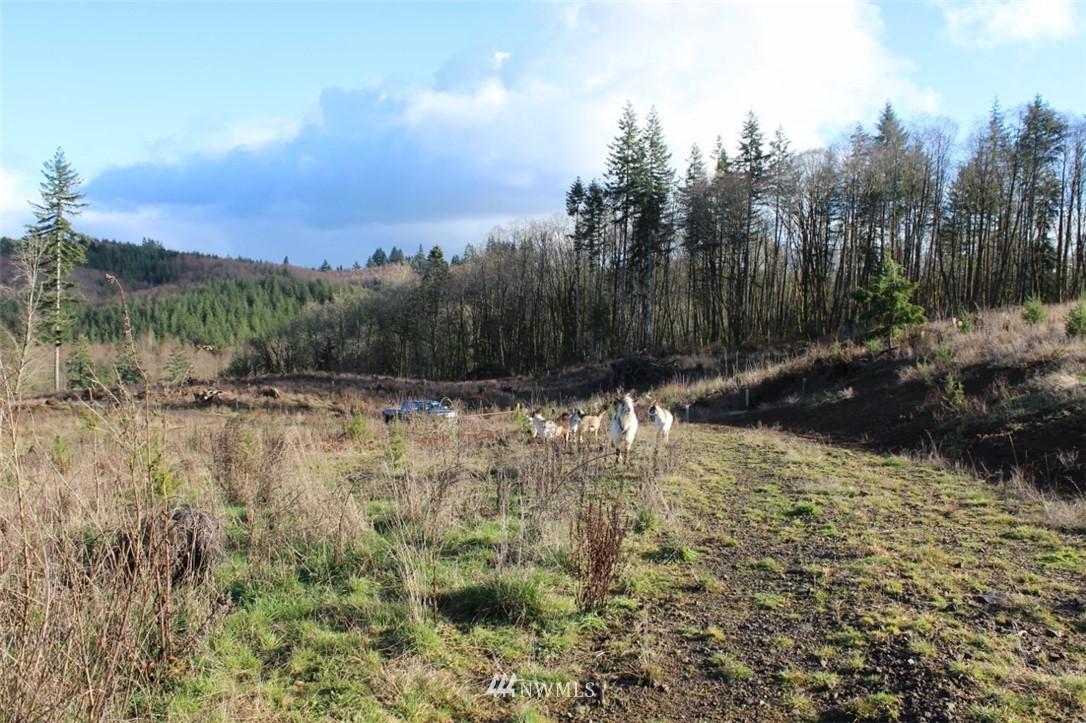 0 Slide Creek Road Longview, WA 98632 - Photo 3 of 3