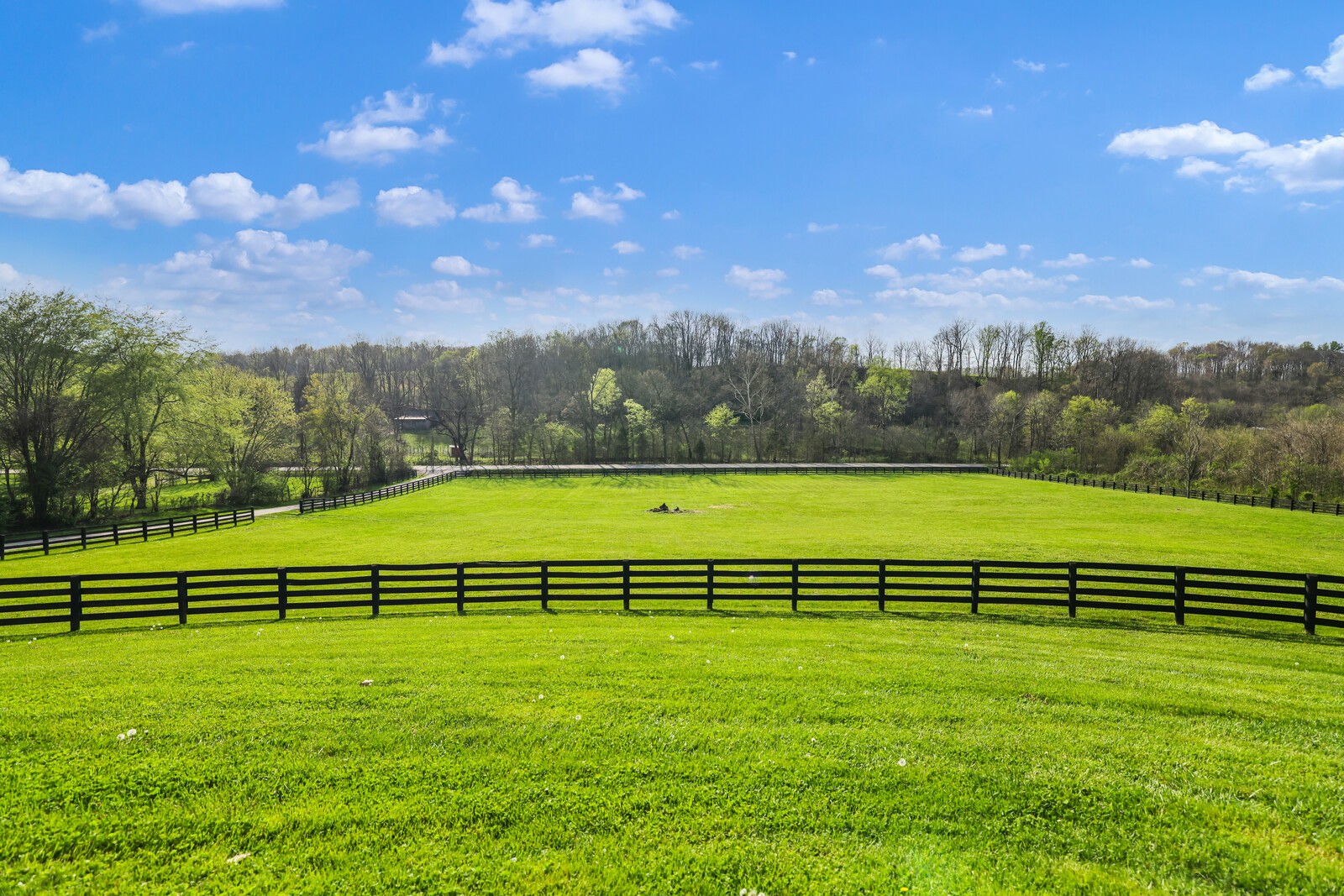 3876 Robinson Road Thompson's Station, TN 37179 - Photo 6 of 69 Gallery Image 6