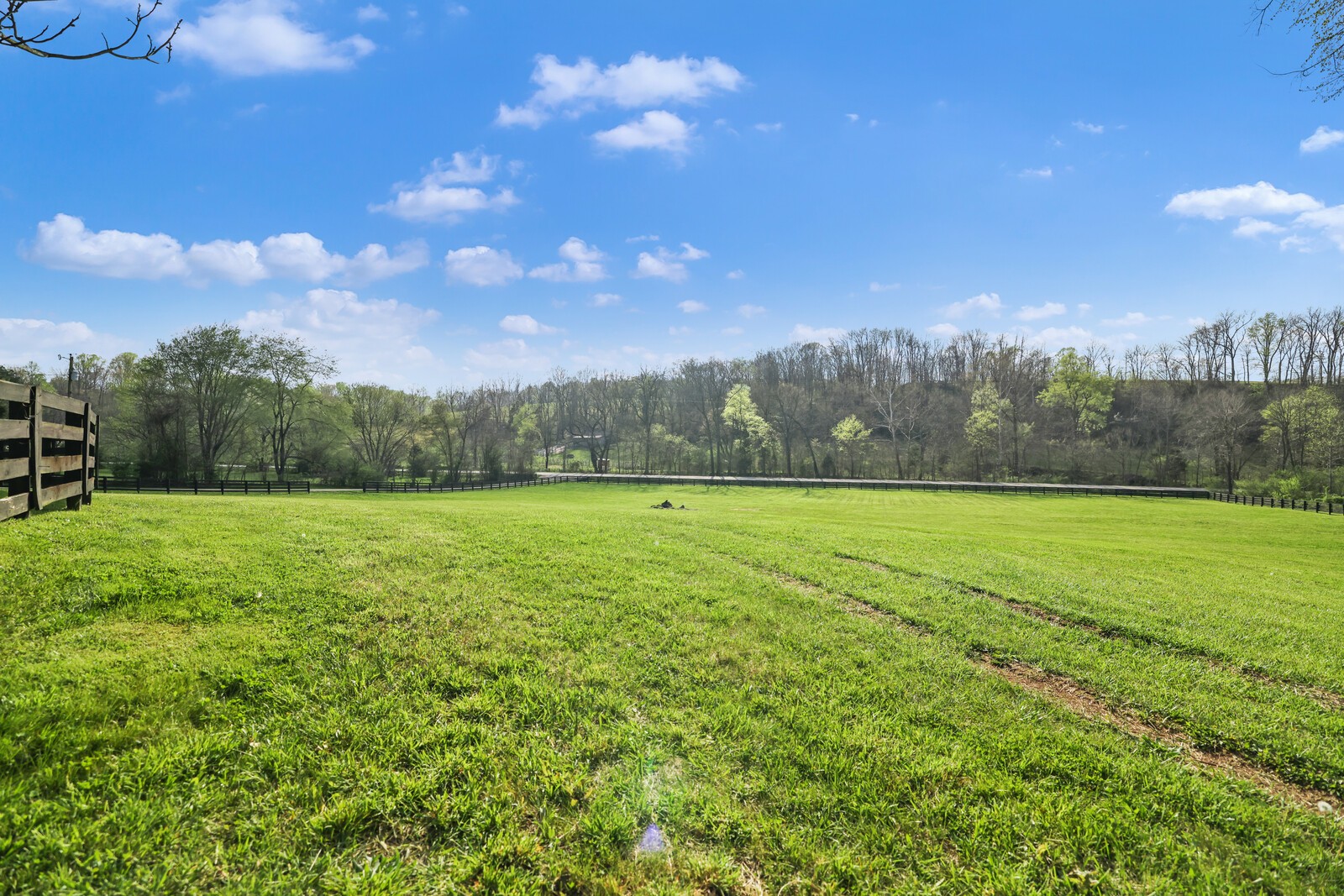 3876 Robinson Road Thompson's Station, TN 37179 - Photo 7 of 69 Gallery Image 7