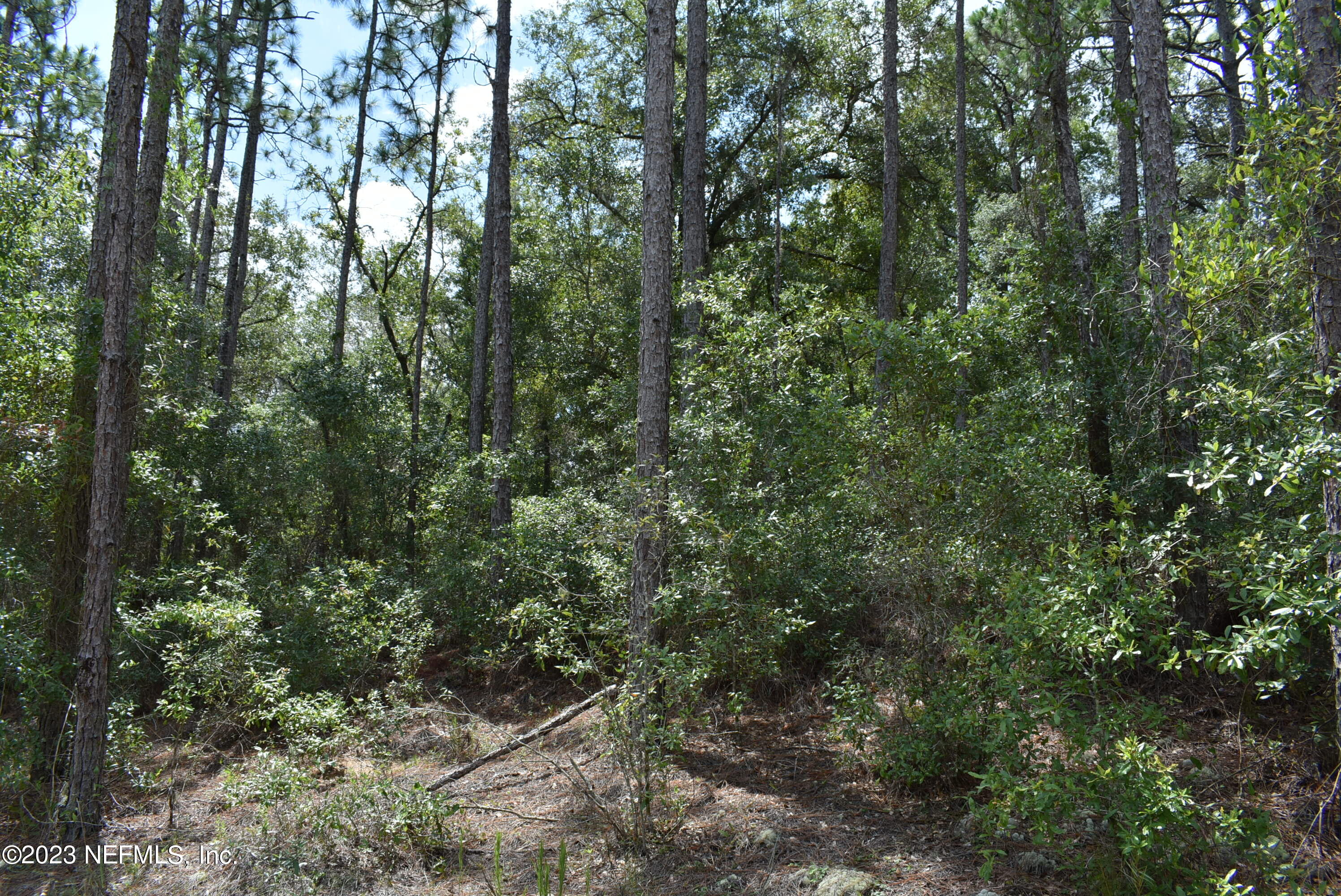 0 Hoot Owl Road Satsuma, FL 32189 - Photo 3 of 3 3 SEPARATE LOTS