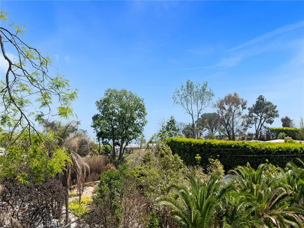 a view of a garden with a flower in a garden