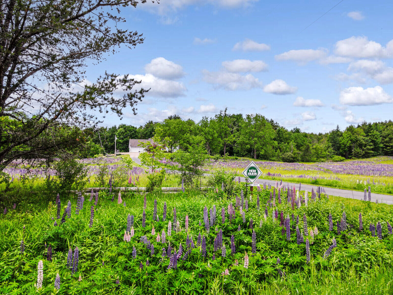 543 Neck Road China, ME 04358 - Photo 14 of 64 01_DJI_0201_copy_DxO_mls - Copy - Copy