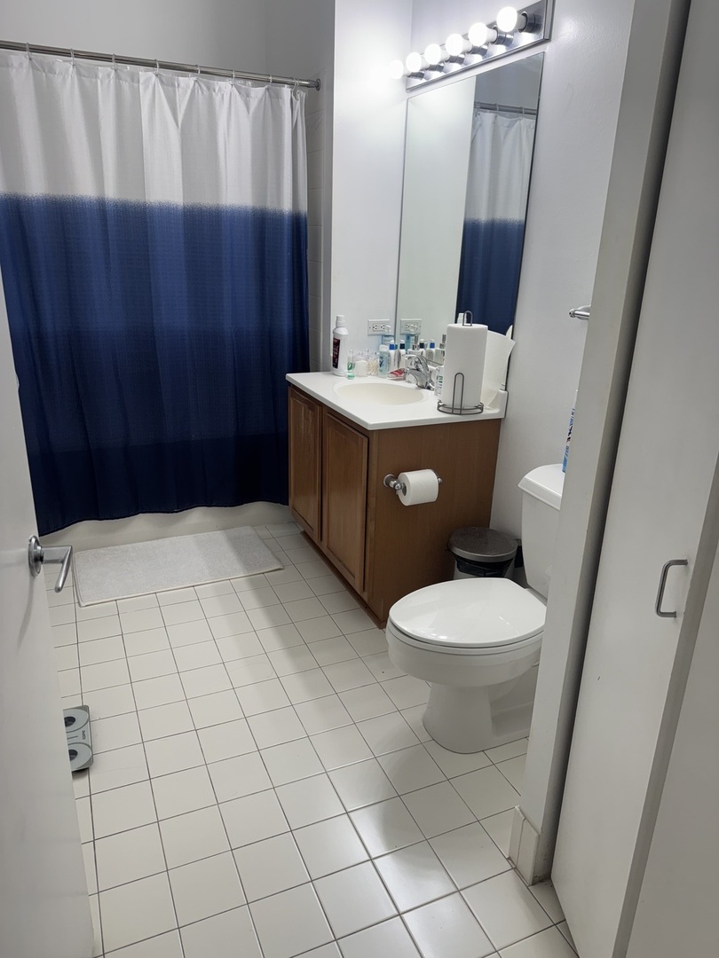 2323 West Pershing Road, Unit 417 Chicago, IL 60609 - Photo 5 of 8 a bathroom with a sink a toilet and mirror