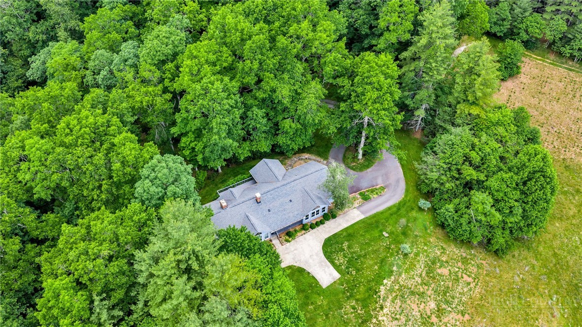 1142 Hartzog Ford Road West Jefferson, NC 28694 - Photo 3 of 47