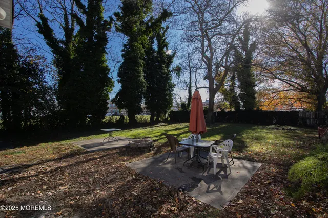 a view of a park with large trees