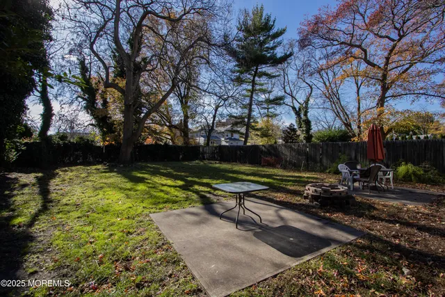 a view of a backyard with plants and a slide
