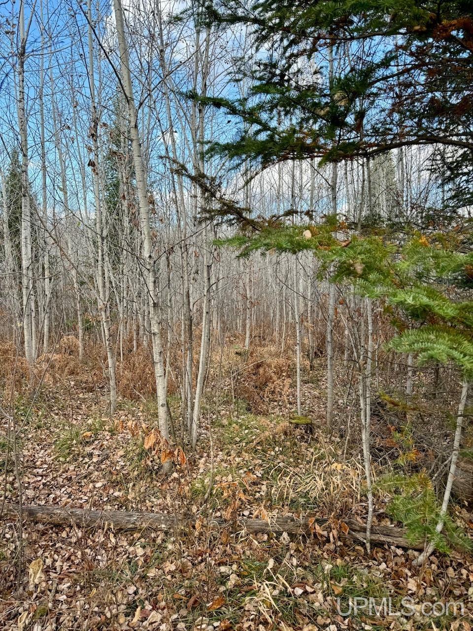27.5 Rd 52 Ac Trail Gladstone, MI 49837 - Photo 11 of 20