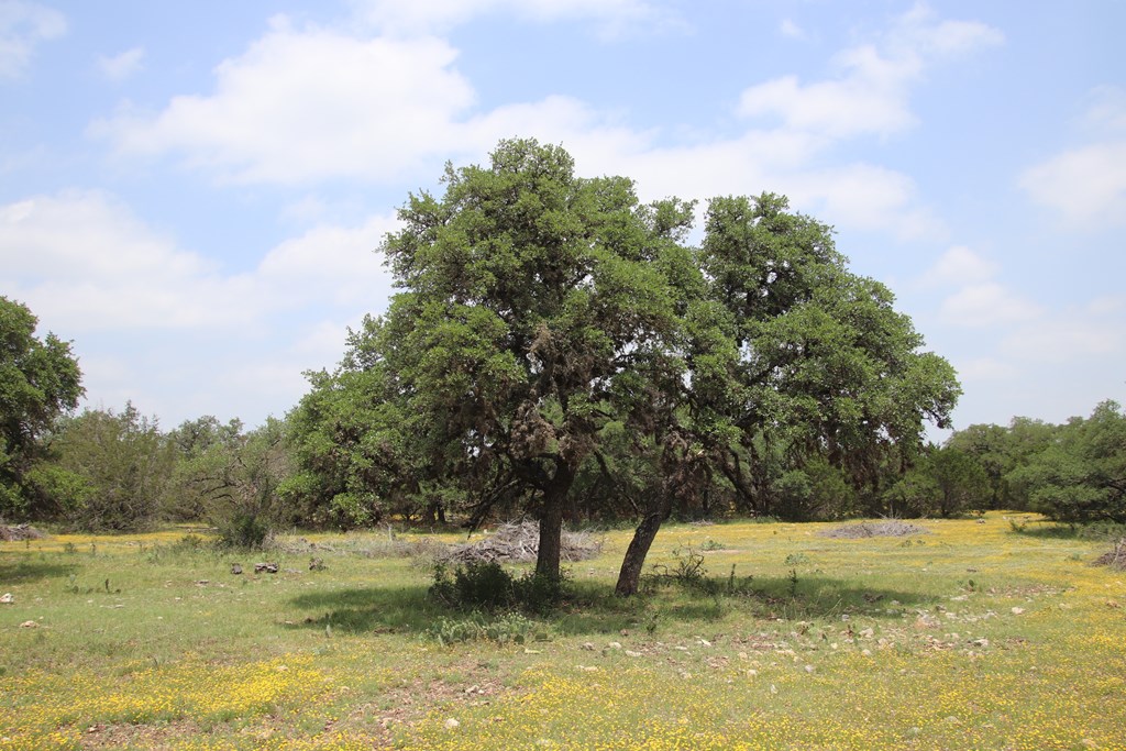 Lot 23 Other Rocksprings, TX 78880 - Photo 3 of 3 a view of a lake view