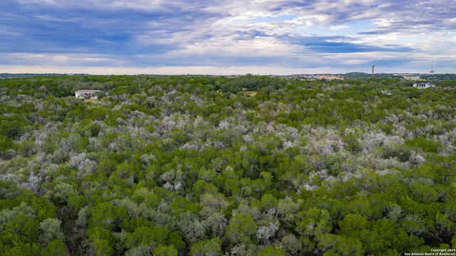 a view of a big yard with lots of green space