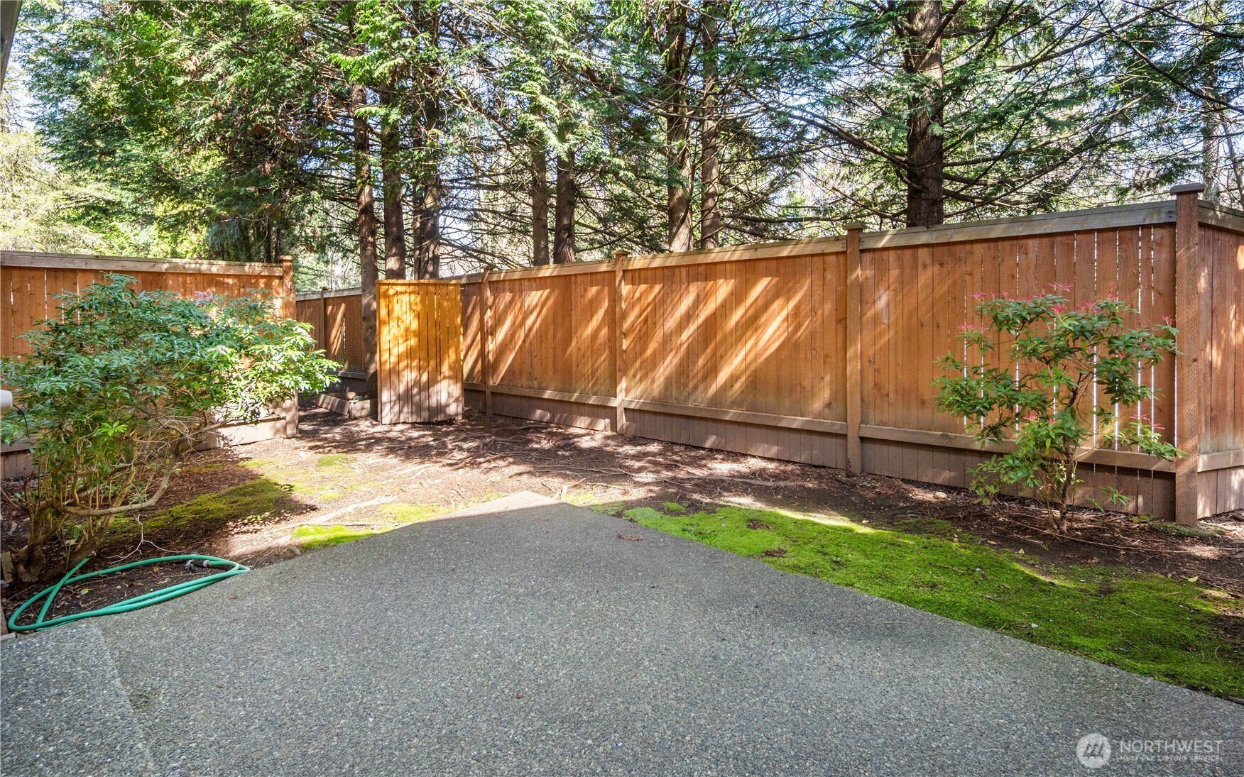 608 Chelan Place Northeast, Unit C Renton, WA 98059 - Photo 17 of 19