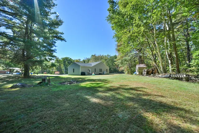 a view of a park with large trees