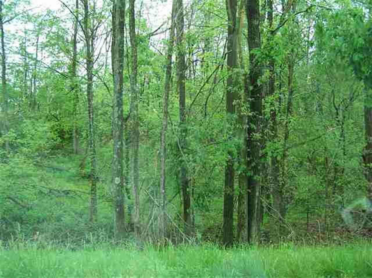 Lot 3 Martin Chapel Road, Unit 3 Kuttawa, KY 42055 - Photo 1 of 1 Photo 1