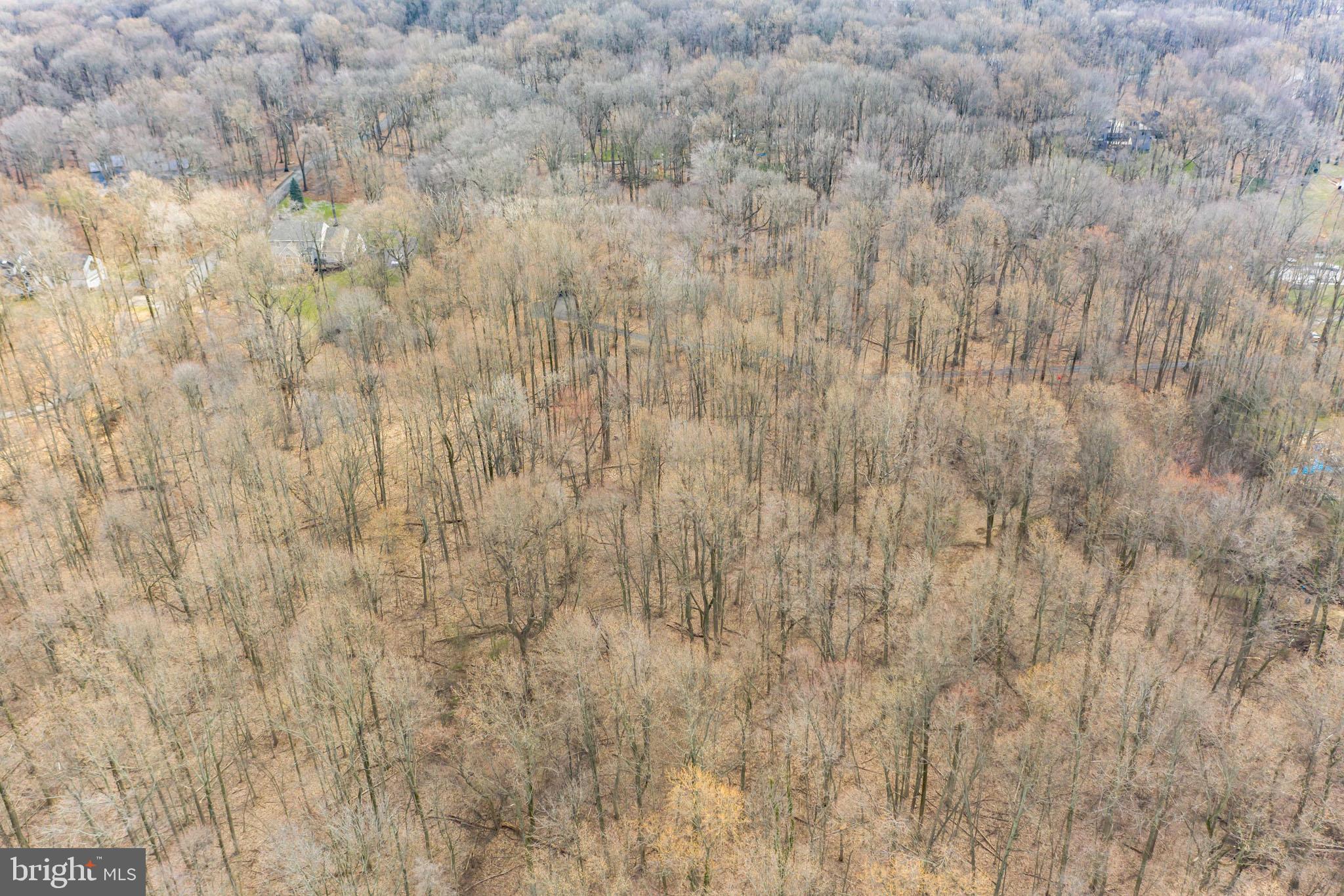 0 Bodine Road Malvern, PA 19355 - Photo 3 of 5