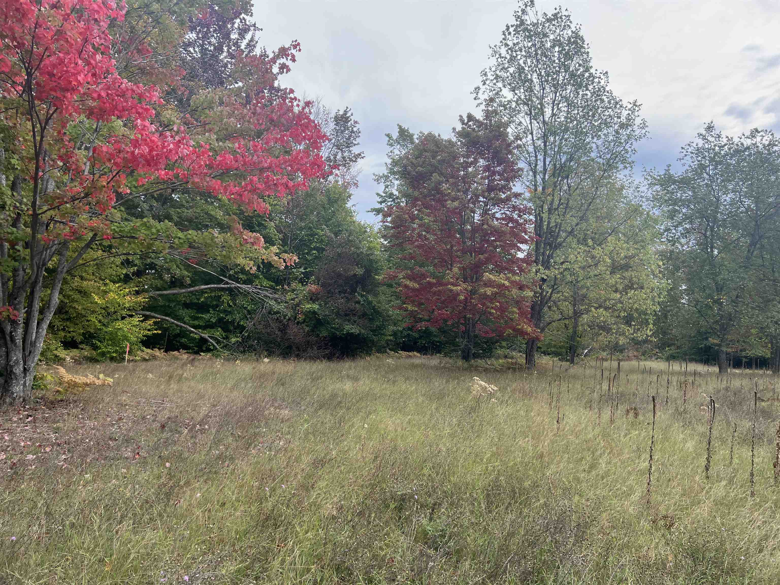 90 A Ridgeview Drive Kalkaska, MI 49646 - Photo 75 of 75