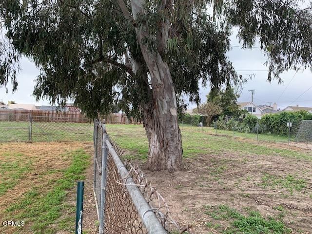 1561 Little Farms Road Oxnard, CA 93030 - Photo 36 of 37 a view of a garden with large trees