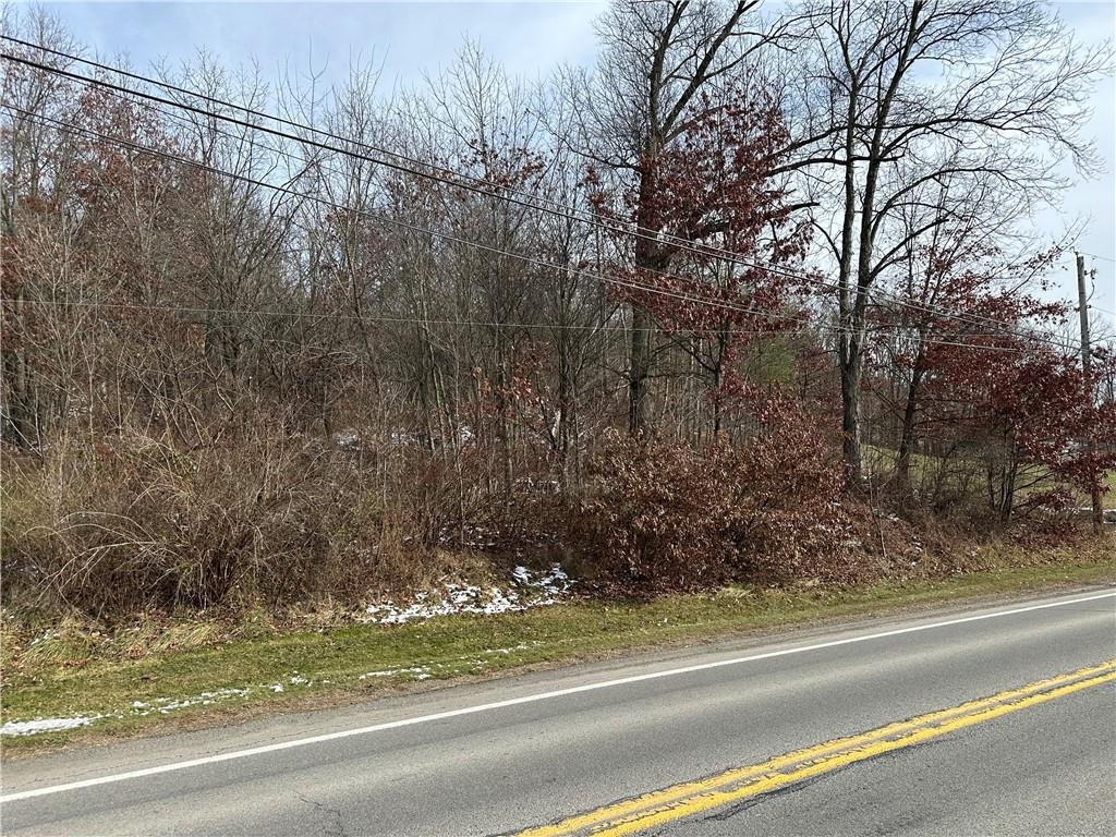 716 Rte 356 Apollo Pa Apollo, PA 15613 - Photo 2 of 8 a view of a yard and a car parked on the road