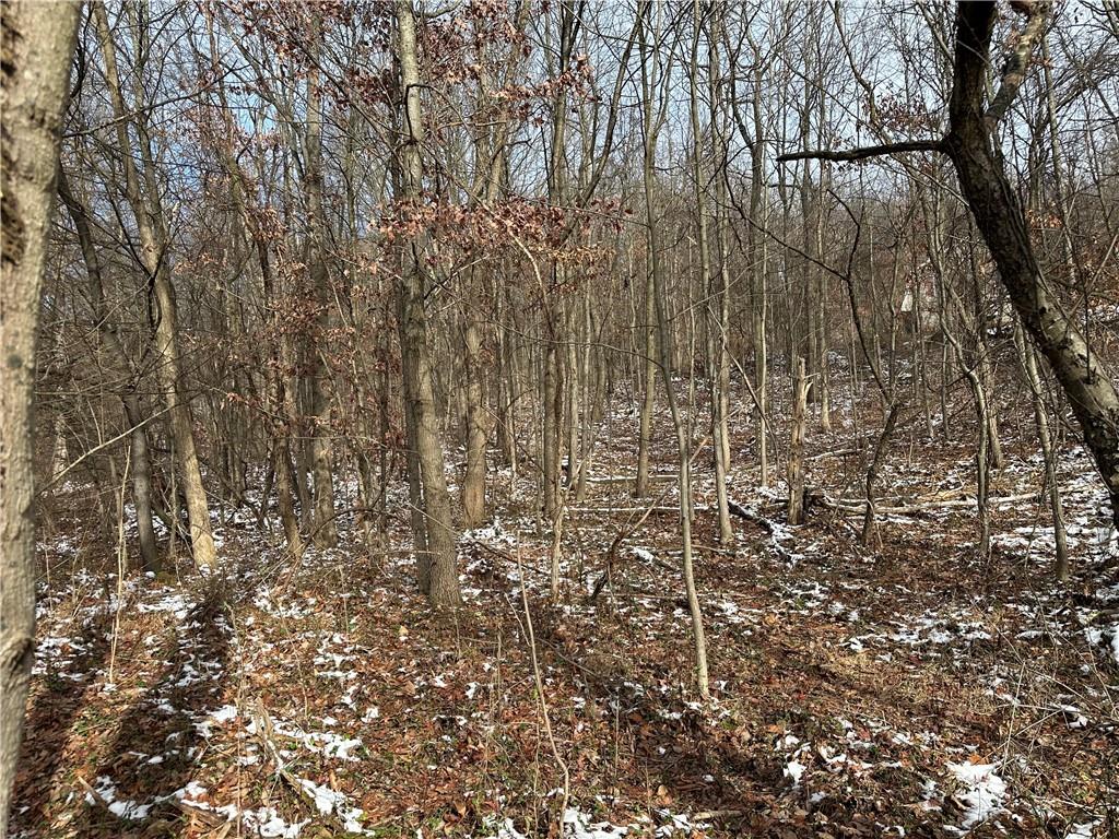 716 Rte 356 Apollo Pa Apollo, PA 15613 - Photo 4 of 8 a view of a yard with a tree